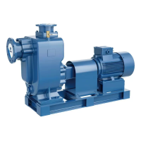 Самовсасывающий насос для загрязненной воды PURITY PZWM 50-15-30/2, 400В/50Гц